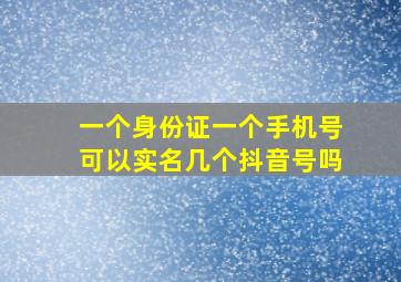 一个身份证一个手机号可以实名几个抖音号吗