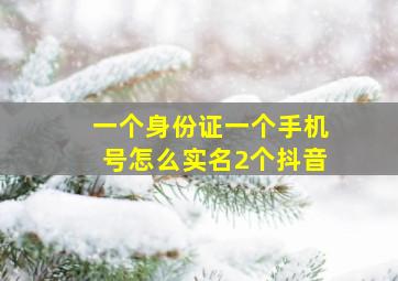 一个身份证一个手机号怎么实名2个抖音