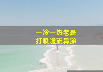 一冷一热老是打喷嚏流鼻涕