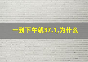 一到下午就37.1,为什么