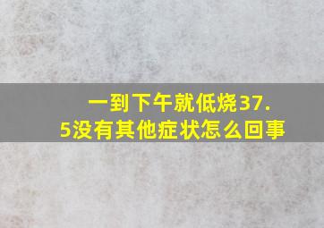 一到下午就低烧37.5没有其他症状怎么回事