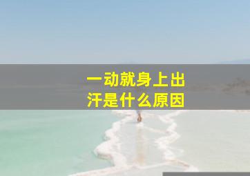 一动就身上出汗是什么原因