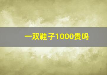 一双鞋子1000贵吗