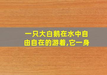 一只大白鹅在水中自由自在的游着,它一身