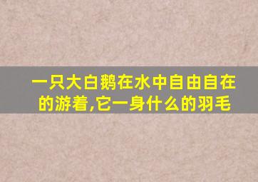 一只大白鹅在水中自由自在的游着,它一身什么的羽毛