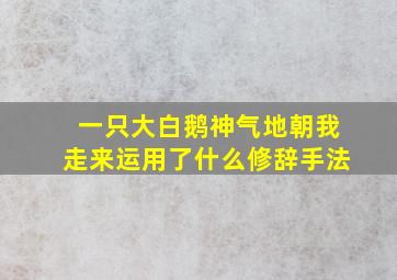 一只大白鹅神气地朝我走来运用了什么修辞手法