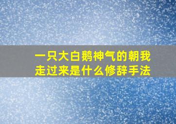 一只大白鹅神气的朝我走过来是什么修辞手法