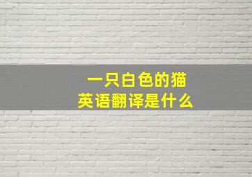 一只白色的猫英语翻译是什么