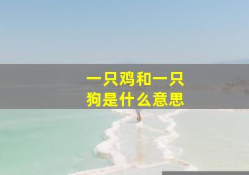 一只鸡和一只狗是什么意思