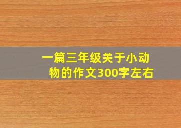 一篇三年级关于小动物的作文300字左右