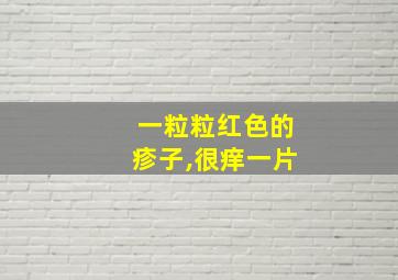 一粒粒红色的疹子,很痒一片