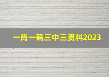 一肖一码三中三资料2023