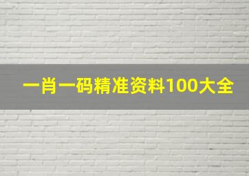 一肖一码精准资料100大全