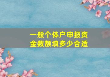 一般个体户申报资金数额填多少合适