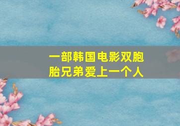 一部韩国电影双胞胎兄弟爱上一个人