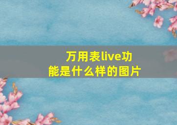 万用表live功能是什么样的图片