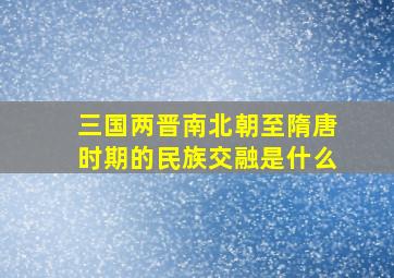 三国两晋南北朝至隋唐时期的民族交融是什么