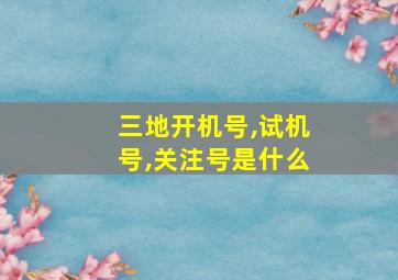 三地开机号,试机号,关注号是什么