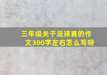 三年级关于足球赛的作文300字左右怎么写呀