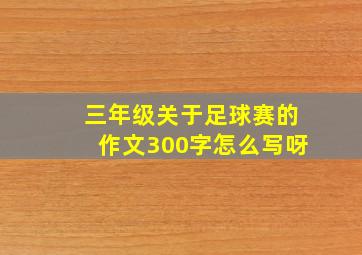 三年级关于足球赛的作文300字怎么写呀