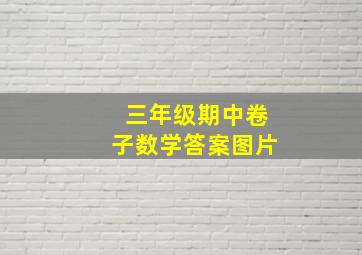 三年级期中卷子数学答案图片