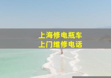 上海修电瓶车上门维修电话