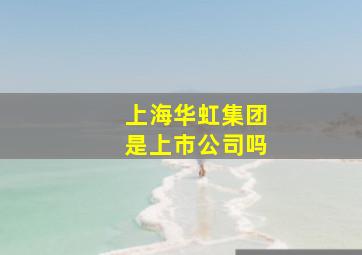 上海华虹集团是上市公司吗