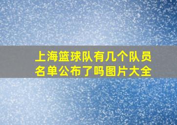 上海篮球队有几个队员名单公布了吗图片大全