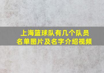 上海篮球队有几个队员名单图片及名字介绍视频