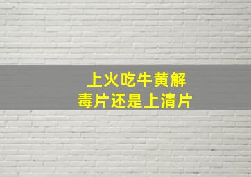 上火吃牛黄解毒片还是上清片