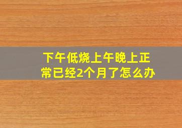 下午低烧上午晚上正常已经2个月了怎么办