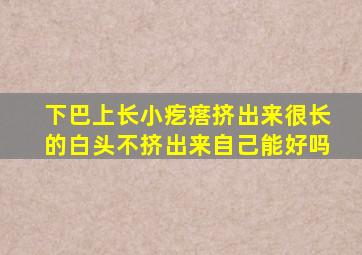 下巴上长小疙瘩挤出来很长的白头不挤出来自己能好吗