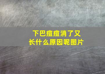 下巴痘痘消了又长什么原因呢图片