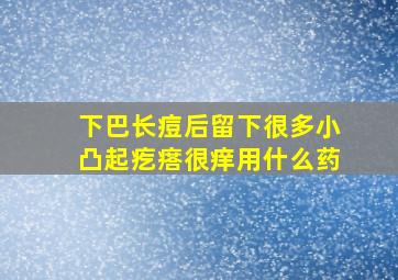 下巴长痘后留下很多小凸起疙瘩很痒用什么药