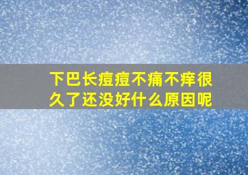 下巴长痘痘不痛不痒很久了还没好什么原因呢