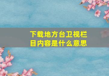 下载地方台卫视栏目内容是什么意思