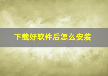 下载好软件后怎么安装