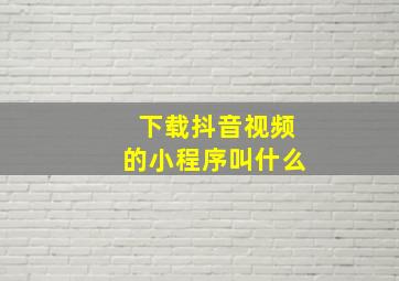 下载抖音视频的小程序叫什么