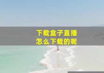 下载盒子直播怎么下载的呢