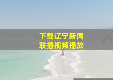 下载辽宁新闻联播视频播放