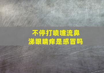 不停打喷嚏流鼻涕眼睛痒是感冒吗