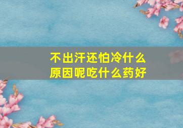 不出汗还怕冷什么原因呢吃什么药好