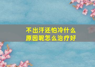 不出汗还怕冷什么原因呢怎么治疗好