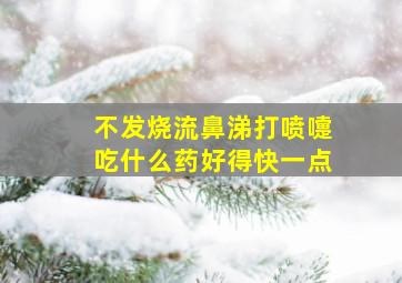 不发烧流鼻涕打喷嚏吃什么药好得快一点