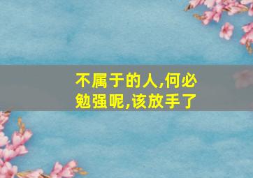 不属于的人,何必勉强呢,该放手了