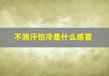 不淌汗怕冷是什么感冒