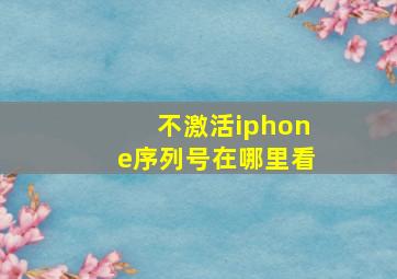 不激活iphone序列号在哪里看