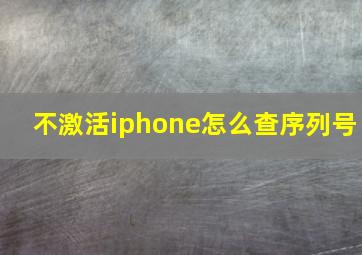 不激活iphone怎么查序列号