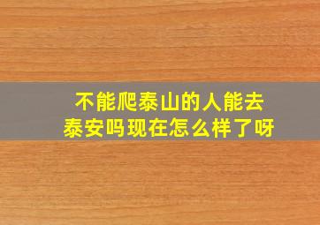 不能爬泰山的人能去泰安吗现在怎么样了呀