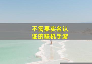 不需要实名认证的联机手游